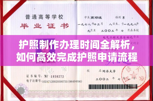 双湖护照制作办理时间全解析，如何高效完成护照申请流程